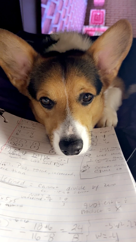 Image uploaded by Chelsea