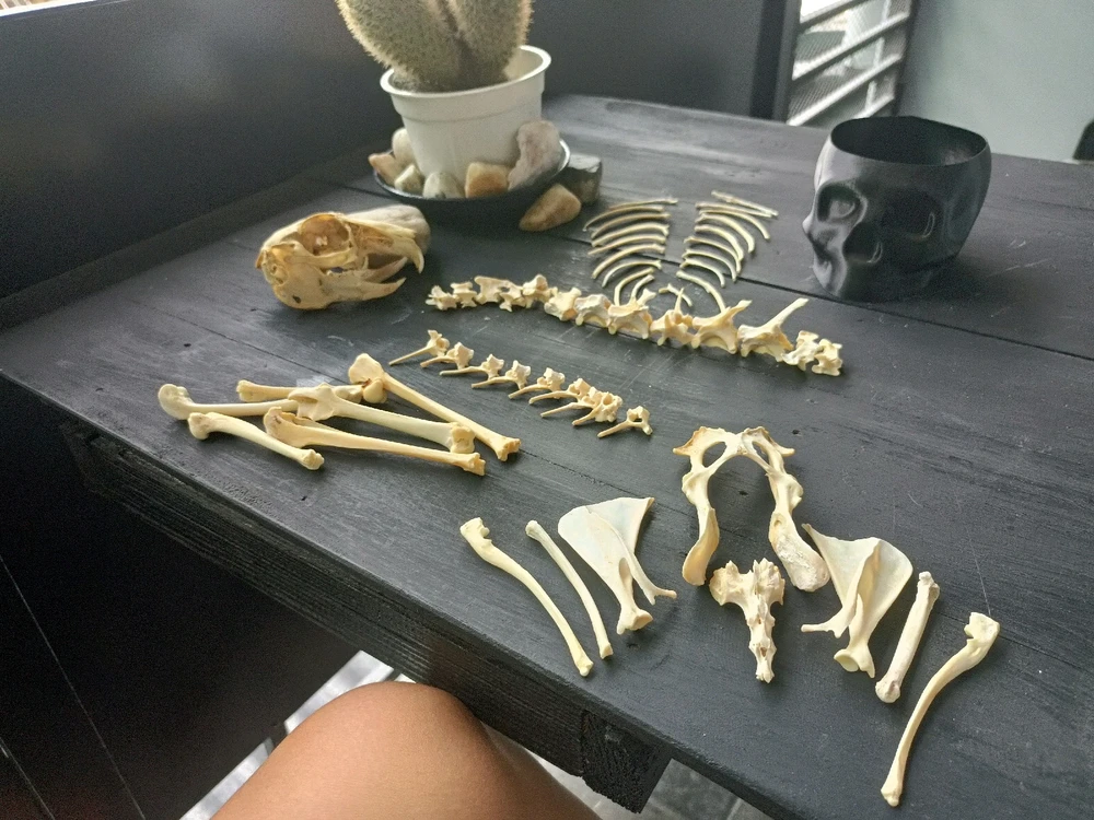 Image uploaded by Rachel