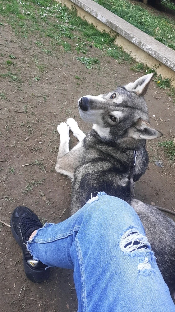 Image uploaded by klisi