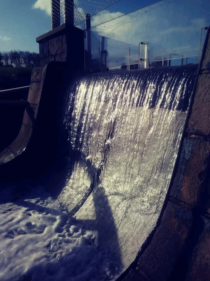 Image uploaded by Steven Carroll