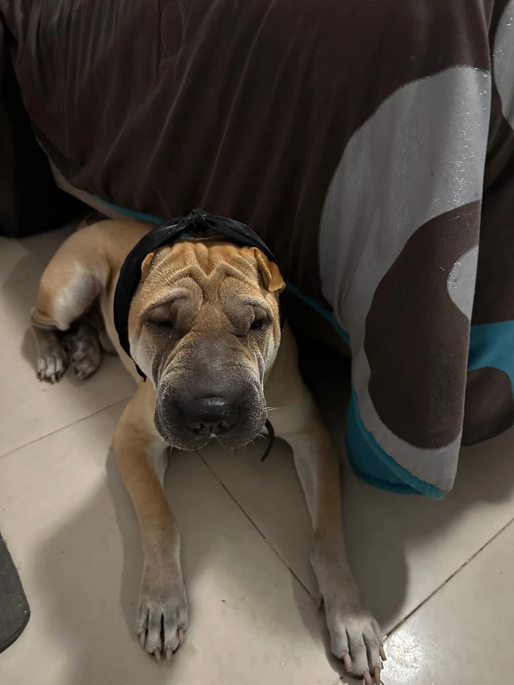 Image uploaded by Maggs