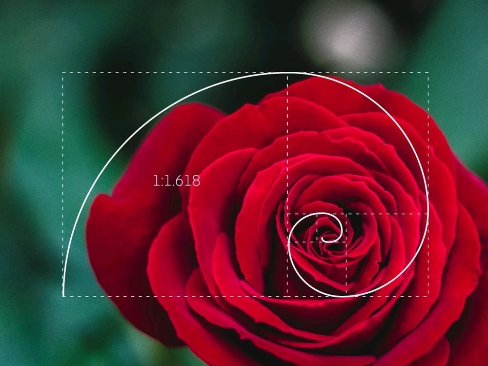 Gambar diunggah dening Paolo 🚀💫