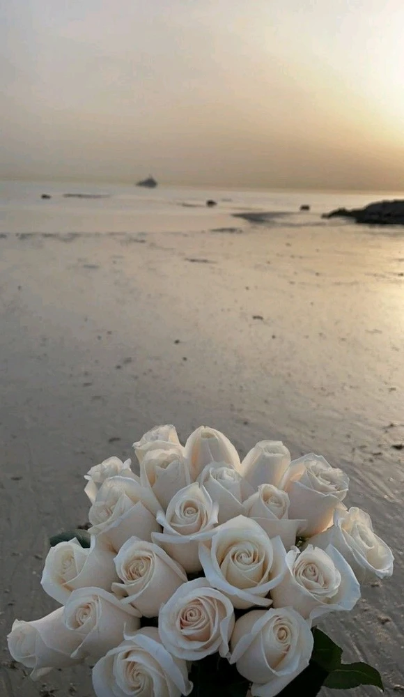 Image uploaded by SamUsetin