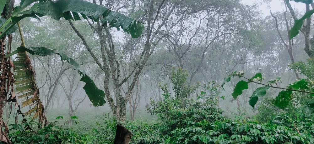 Gambar diunggah oleh ERsya