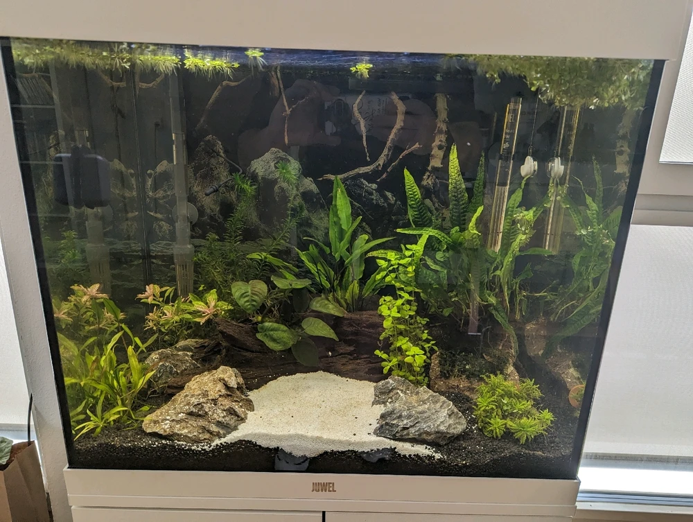 Image uploaded by Stefan