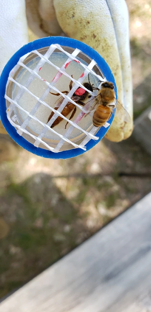 Image uploaded by Walter