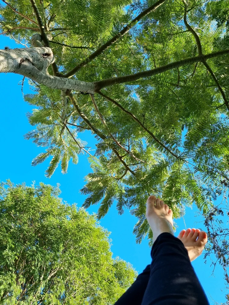 Imagem enviada por Vanessa