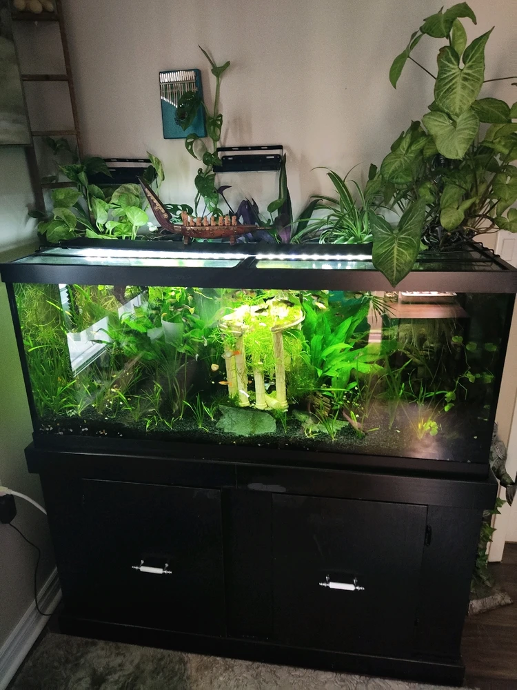 Image uploaded by Matt