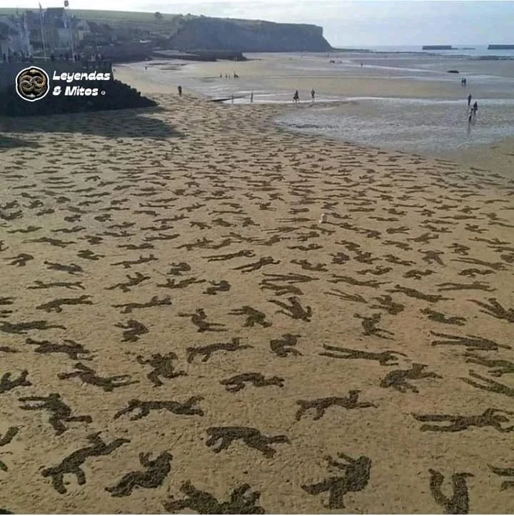 Imagen subida por Daniel