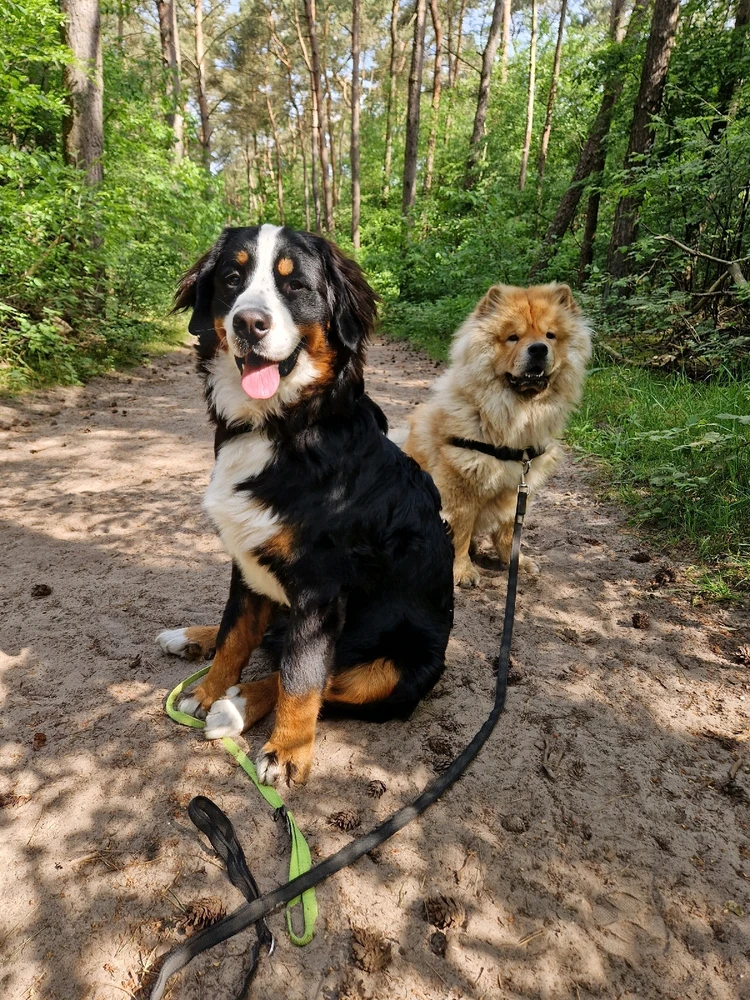 Afbeelding geüpload door Charelle