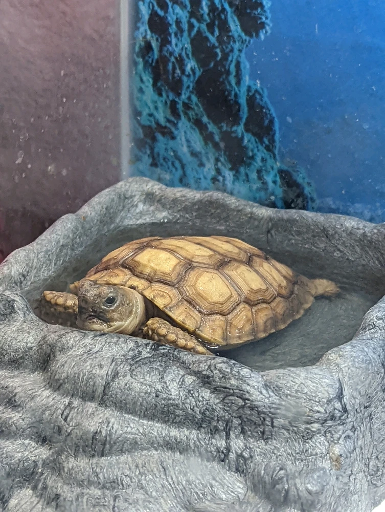 Image uploaded by Heather