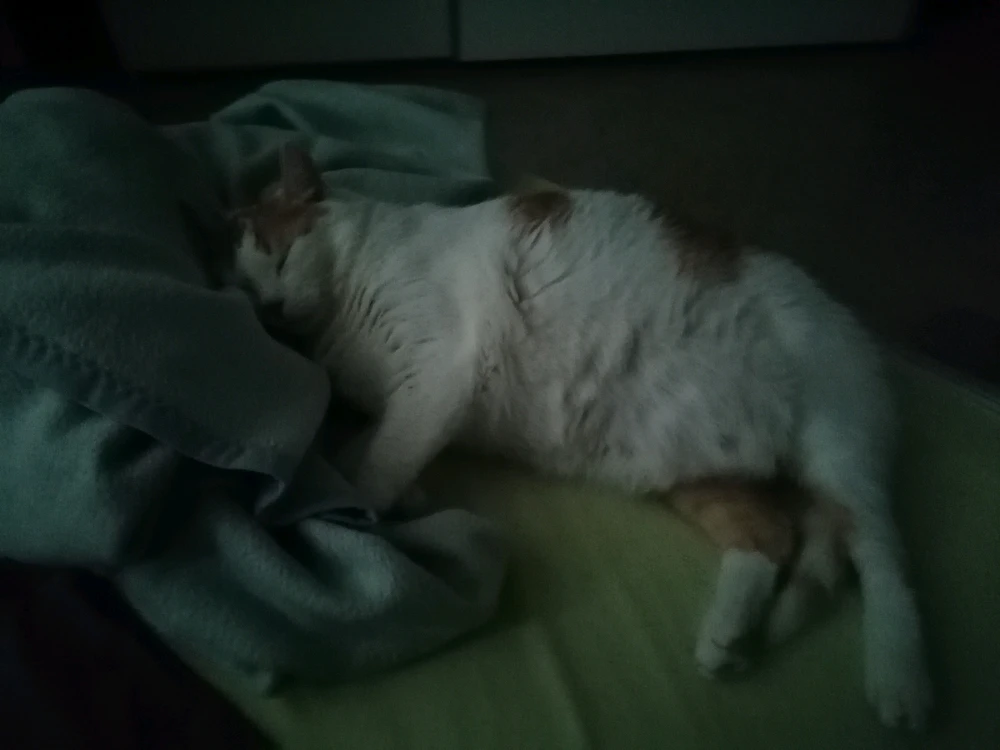 Bilde lastet opp av Christina