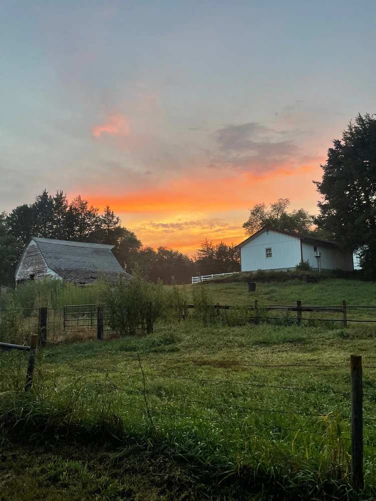 Image uploaded by Rock