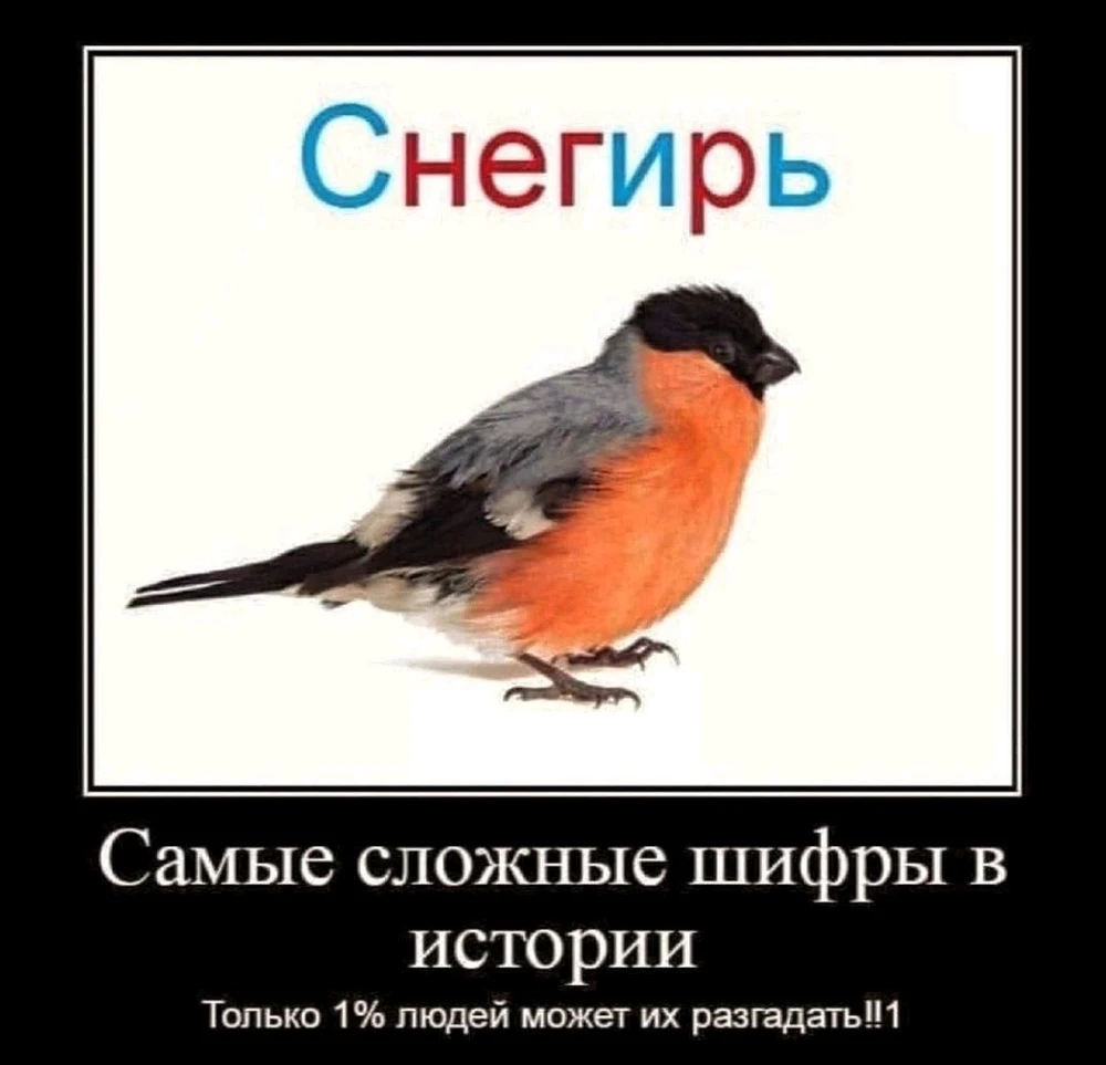 Интересно,людям с типом личности Руководитель сложно найти девушку или нет? 
Иногда мне кажется,что это вообще не возможно. 
Не судите строго,не могу уснуть ночью,кошка храпит,не даёт уснуть😵🤣