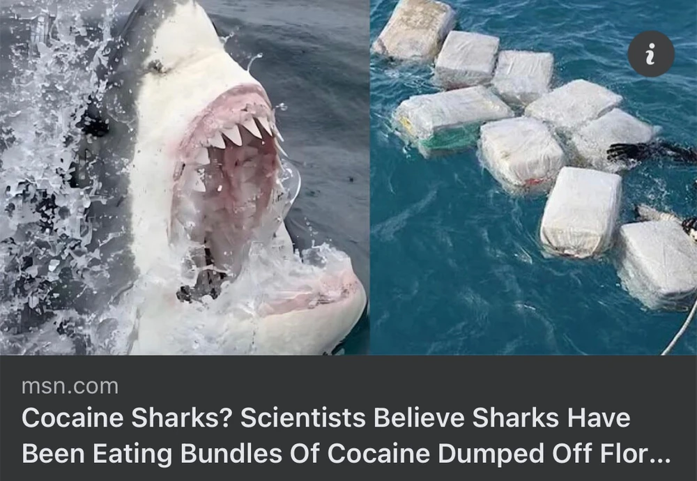 Image uploaded by Emile