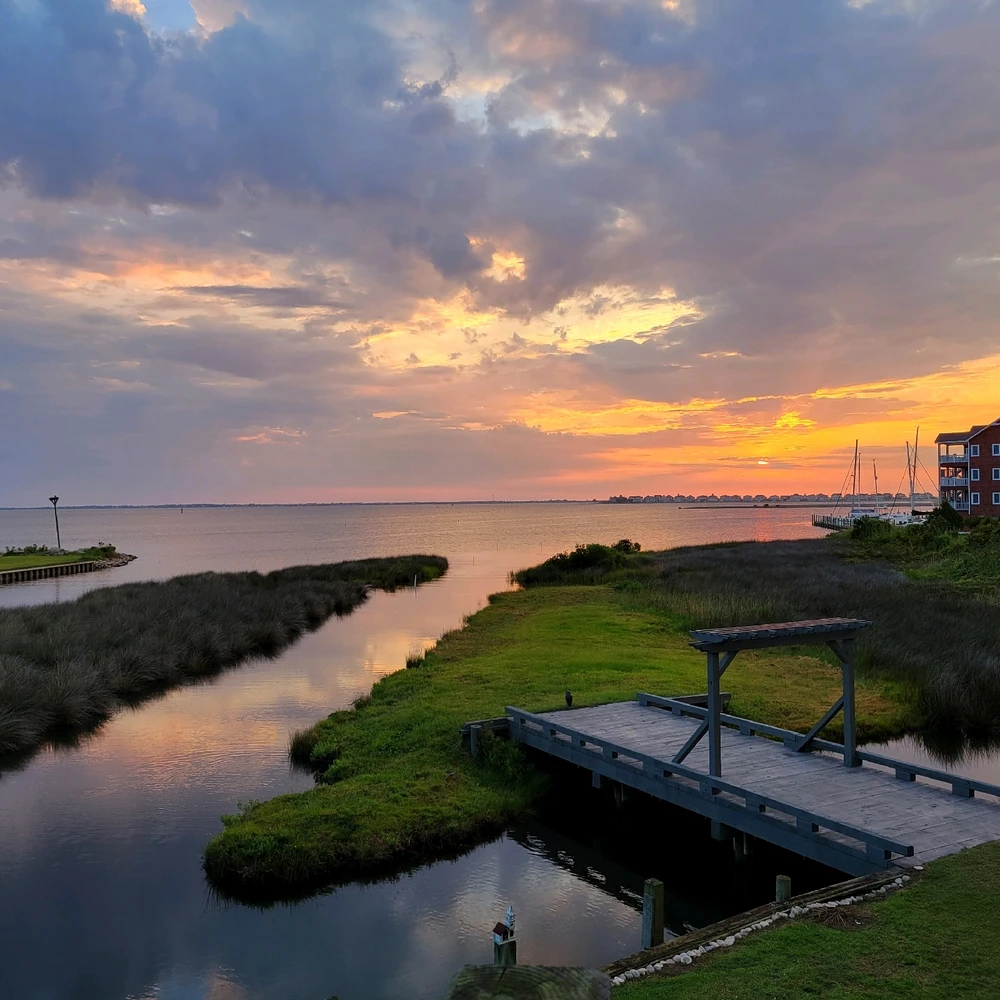 Image uploaded by paul