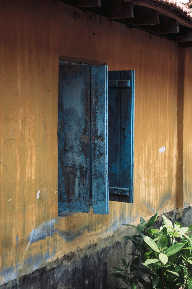 Image uploaded by Shibnu Pasha
