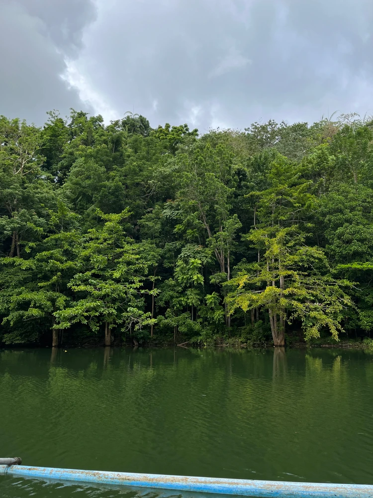 Image uploaded by TJ