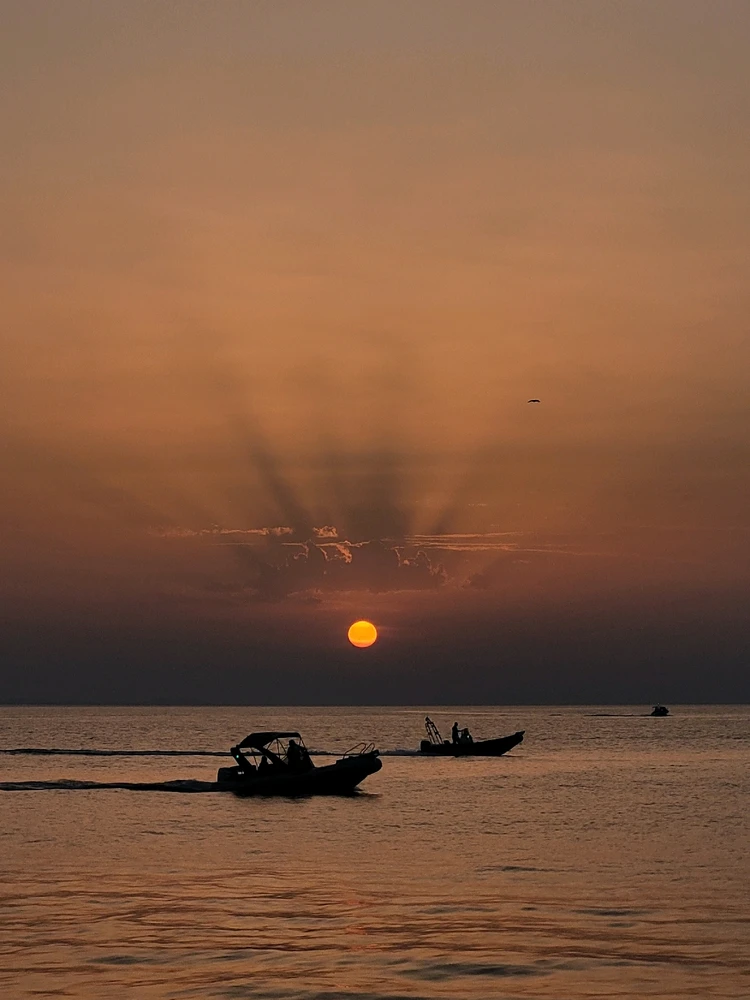 Image uploaded by Alex