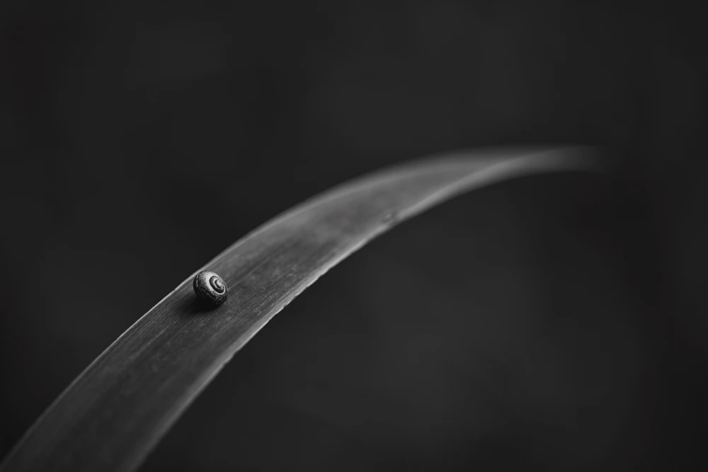 Obrázek nahrál Jirka