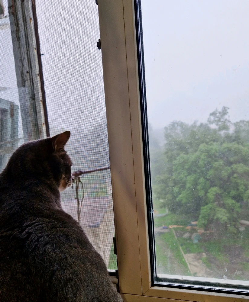 Фото загрузил Валерия