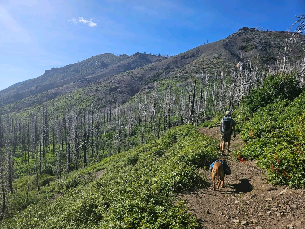 Image uploaded by Trenton