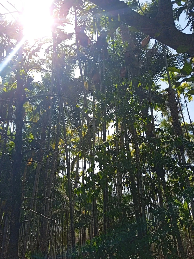 Фото загрузил Yan Taway