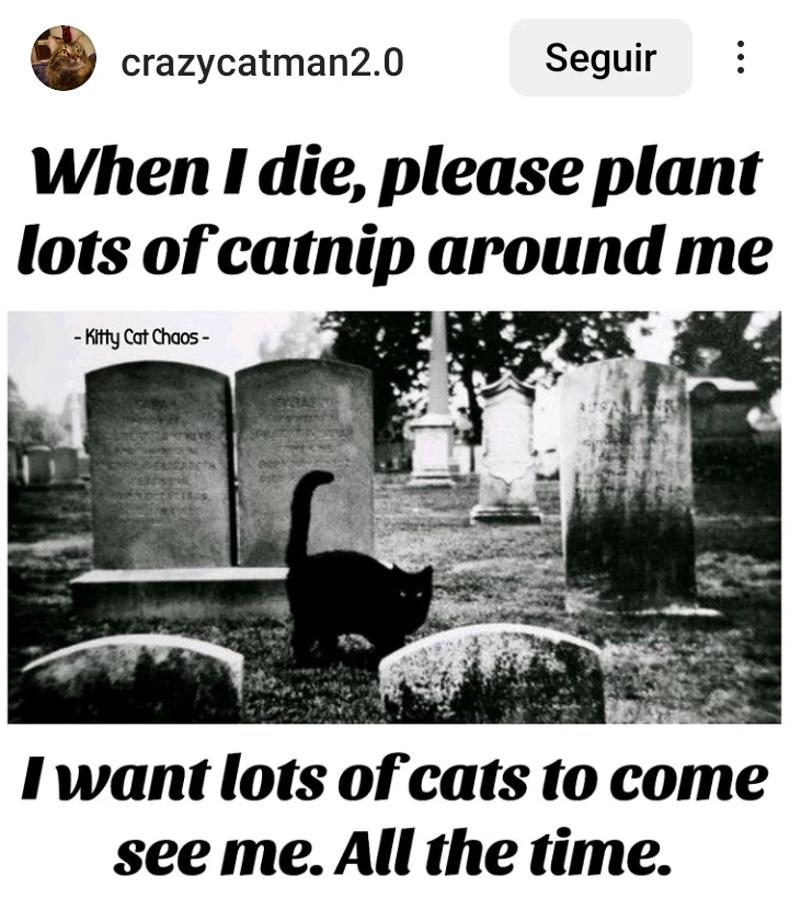 Imagen subida por Gisela