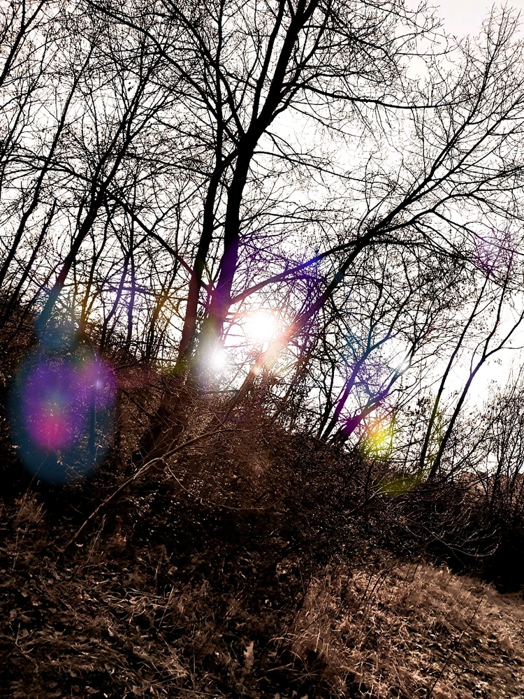 Obrázek nahrál Rostislav