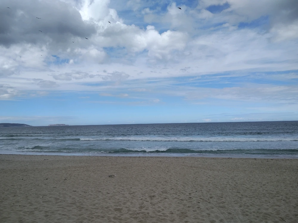 Imaxe subida por Silvia