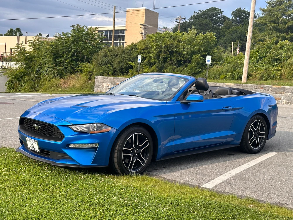 Image uploaded by Andy