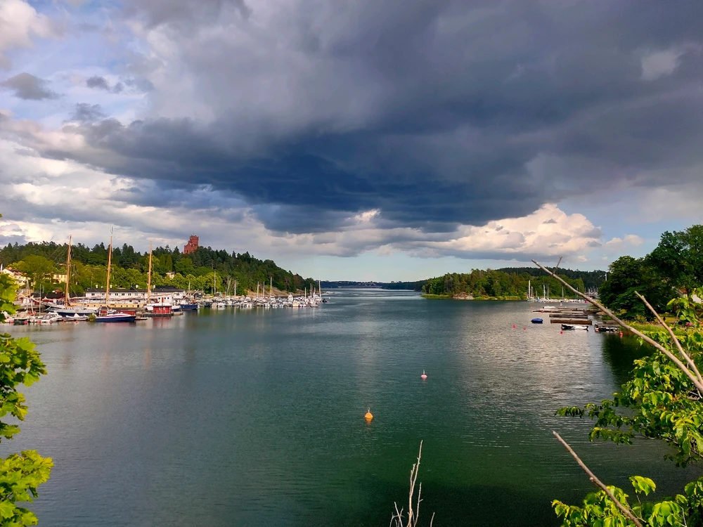 Image uploaded by Ali-Ridha