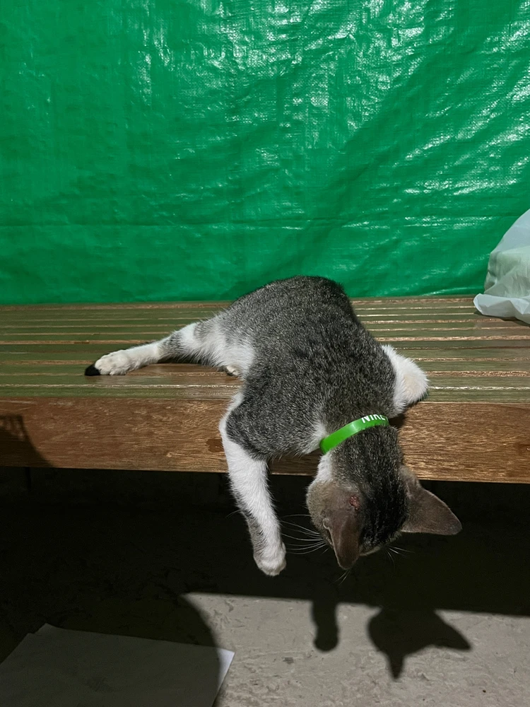 Image uploaded by Roz