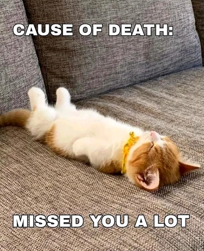 Image uploaded by Boo Hoo
