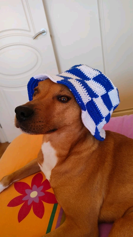 Imagen subida por Celeste