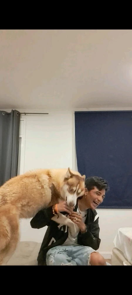 Imagen subida por Fabián