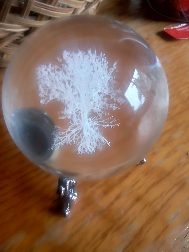 Image uploaded by Alex