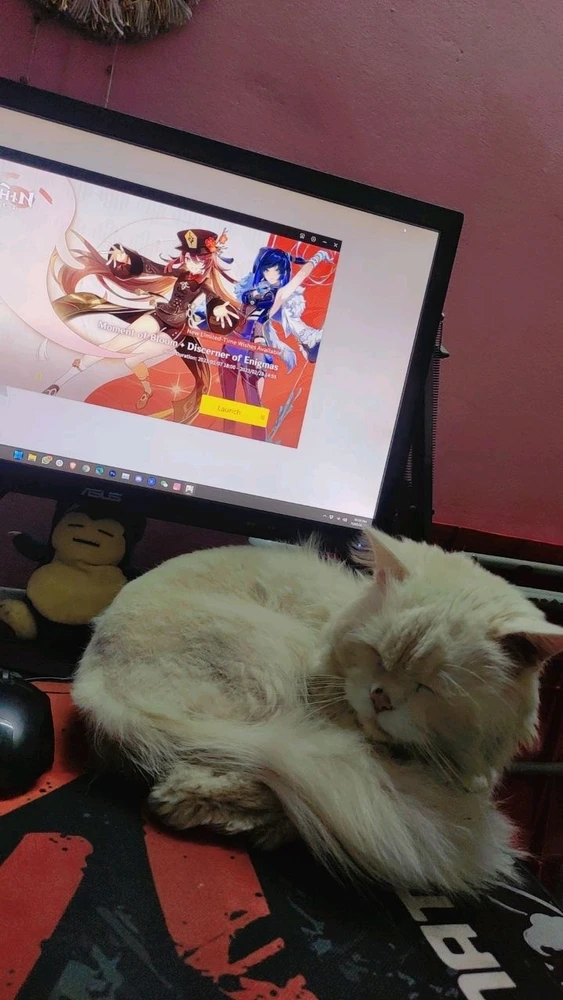 Employee of the month simba the neko