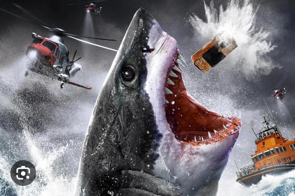 Image uploaded by Emile