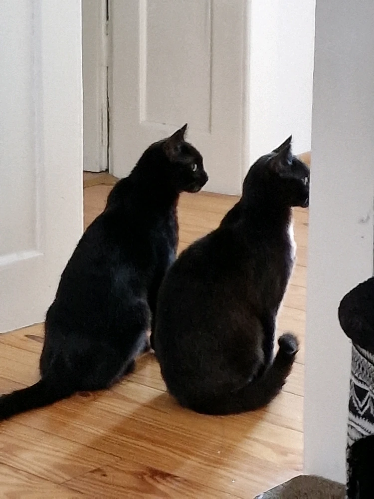 Bild hochgeladen von Andy