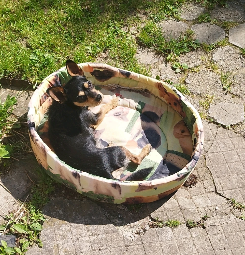 Fotku nahral/-a Klára