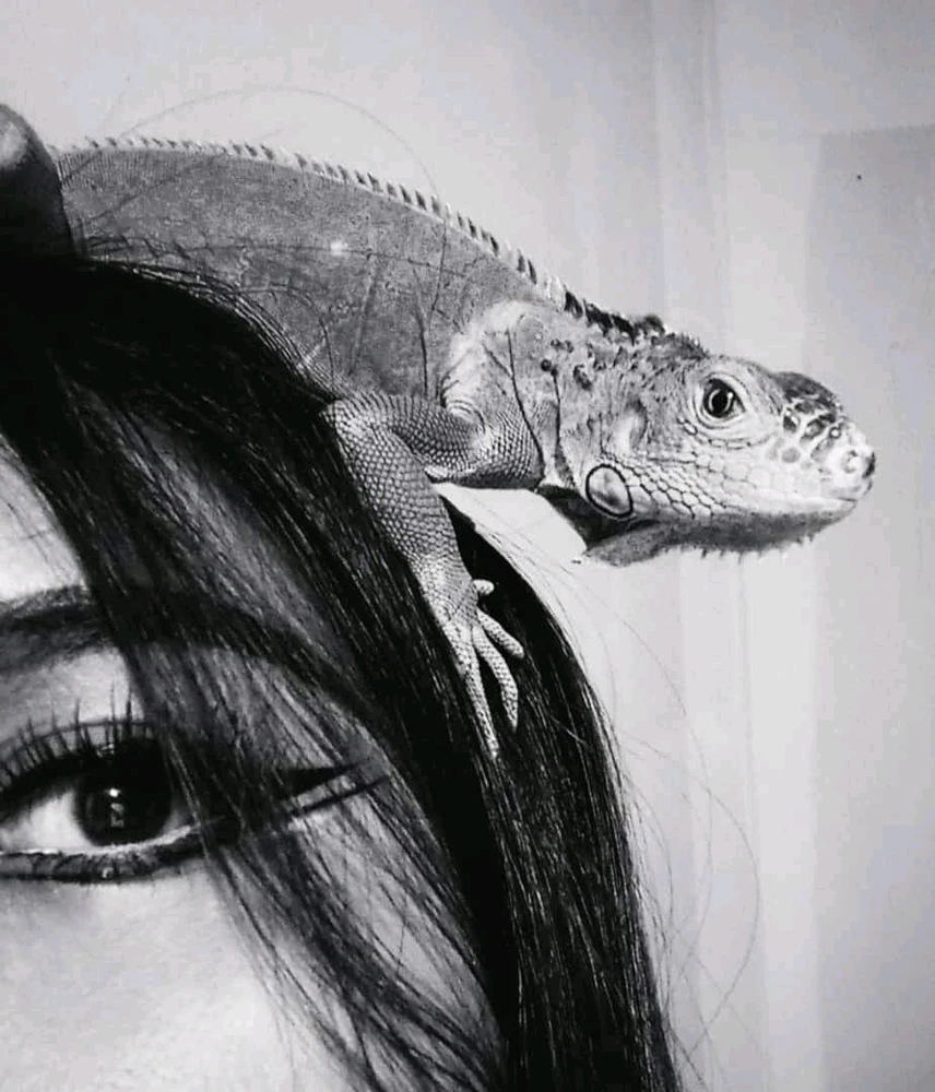 Imagen subida por KarLa🌵