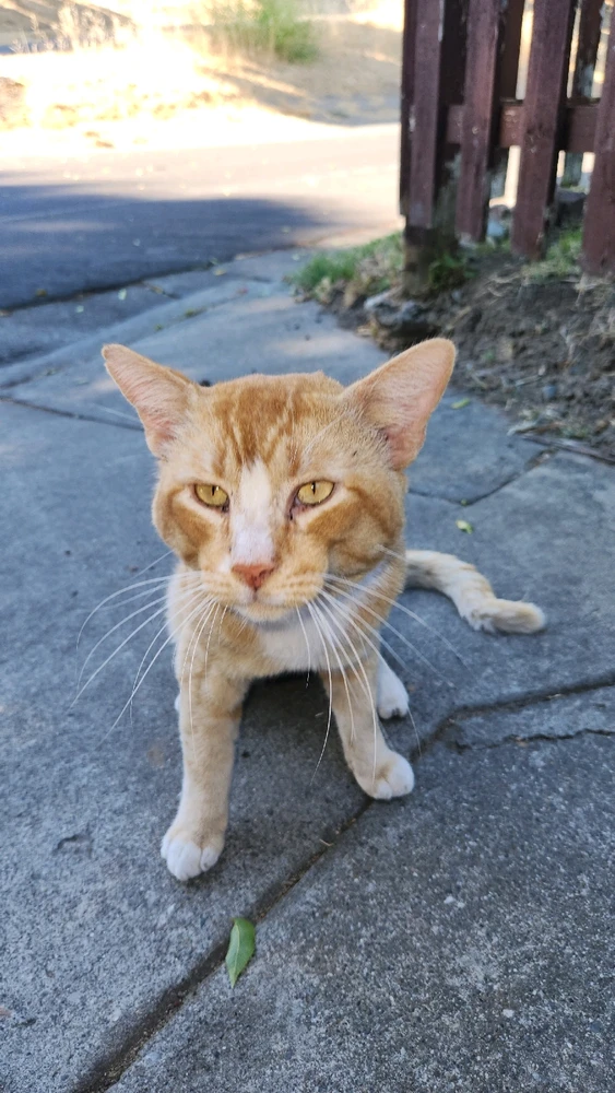 Image uploaded by Andy