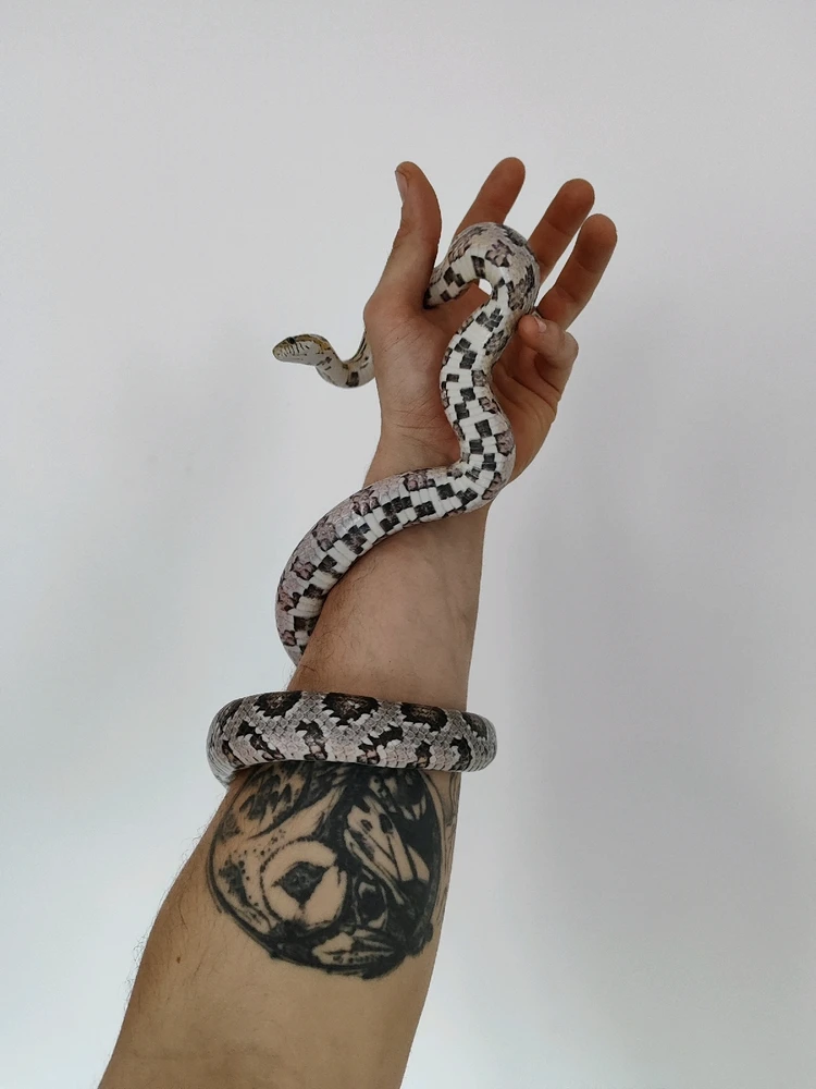 Immagine caricata da Michael