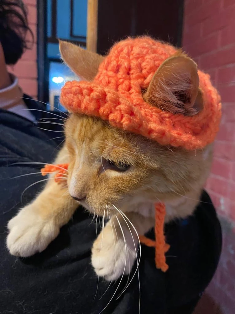 Image uploaded by Triny