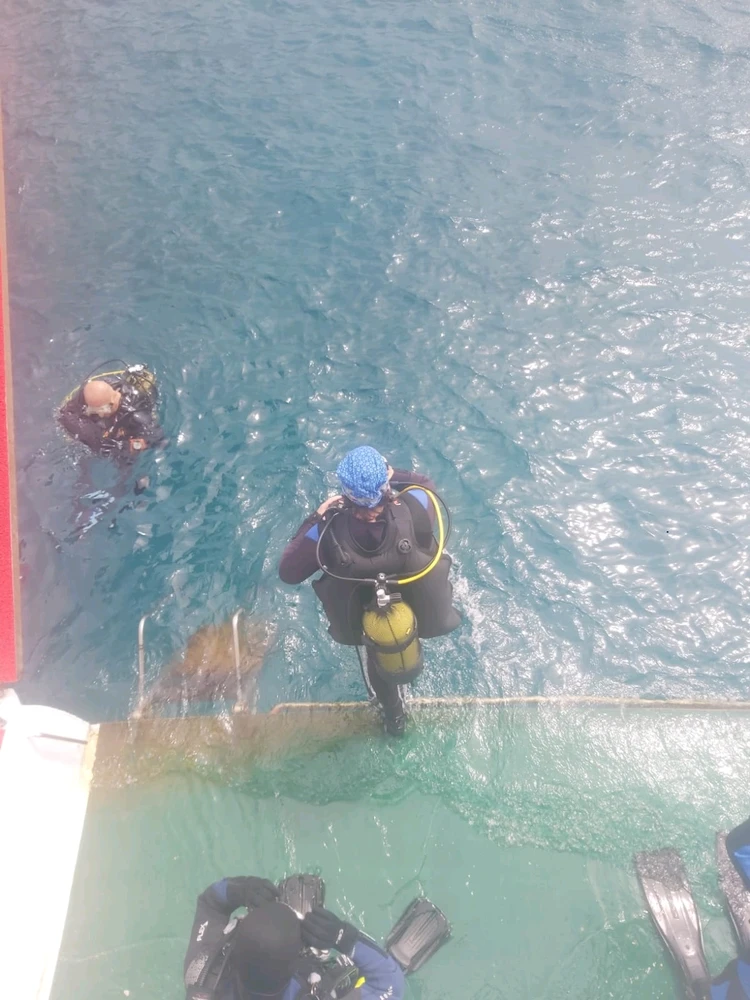 Serhan tarafından yüklenen görsel