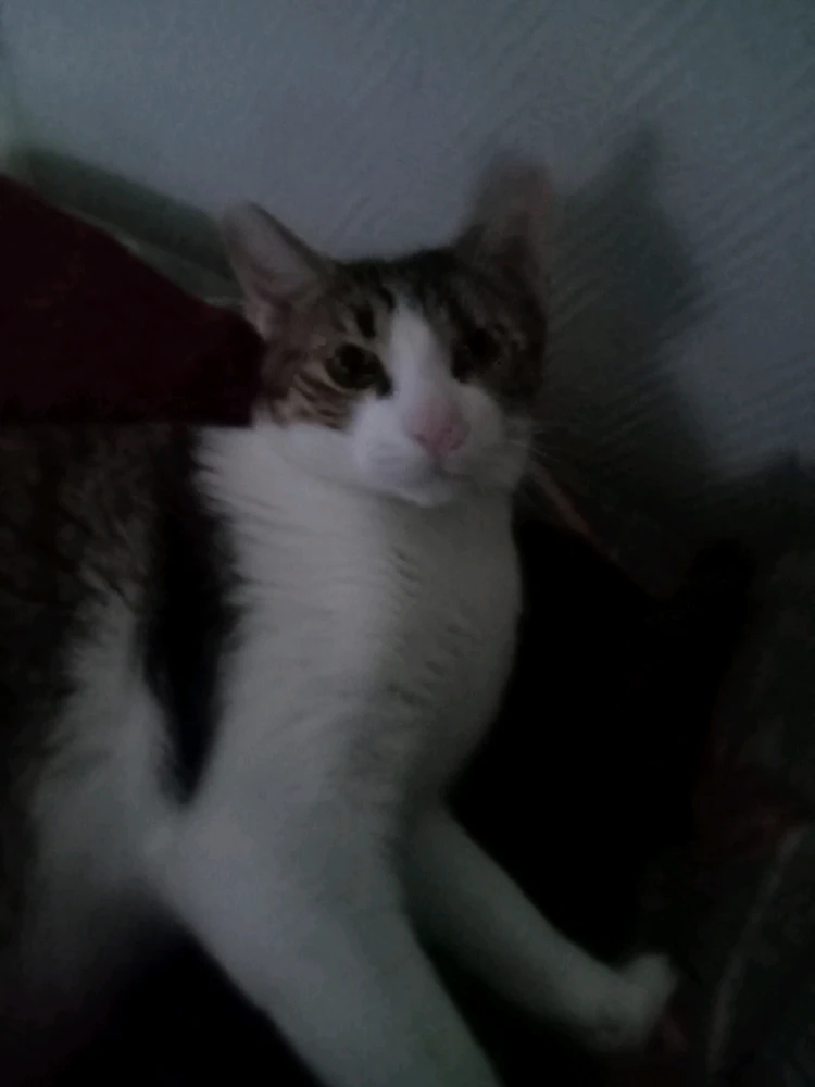 Image ajoutée par John