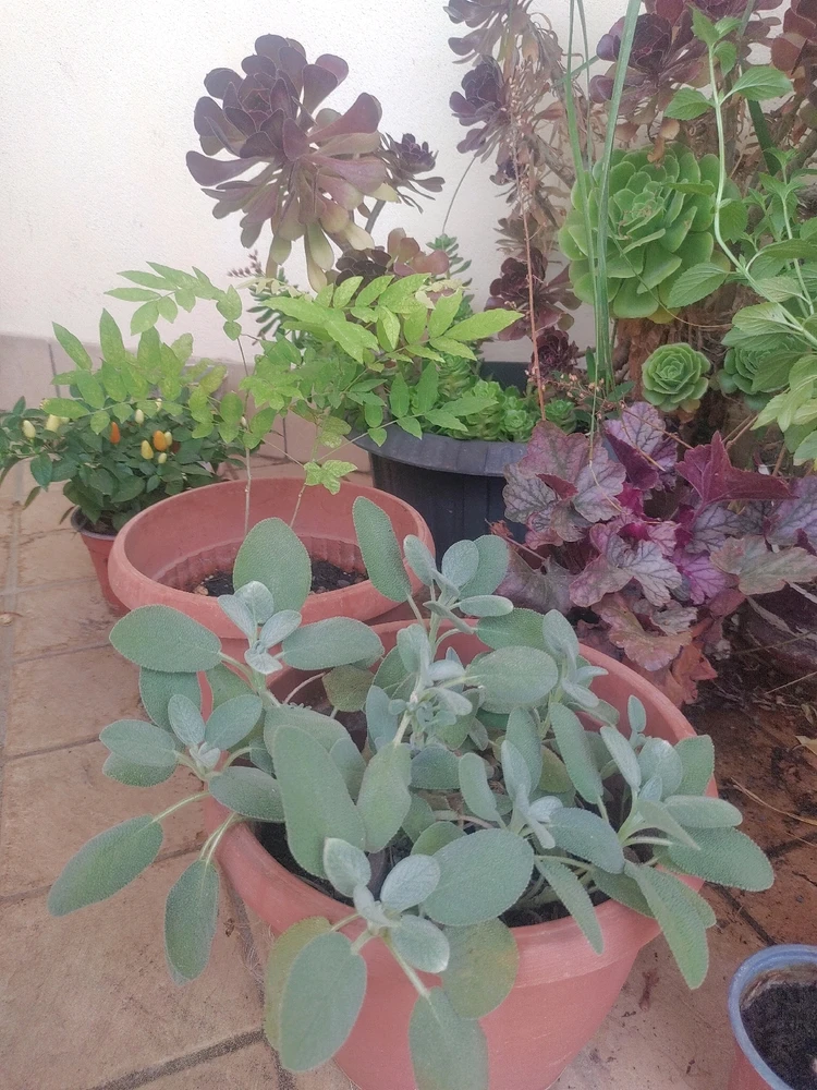 Immagine caricata da Michela