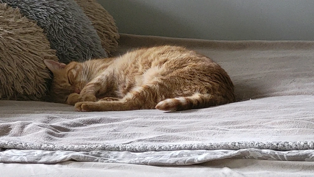 Zdjęcie dodane przez Gosia2080