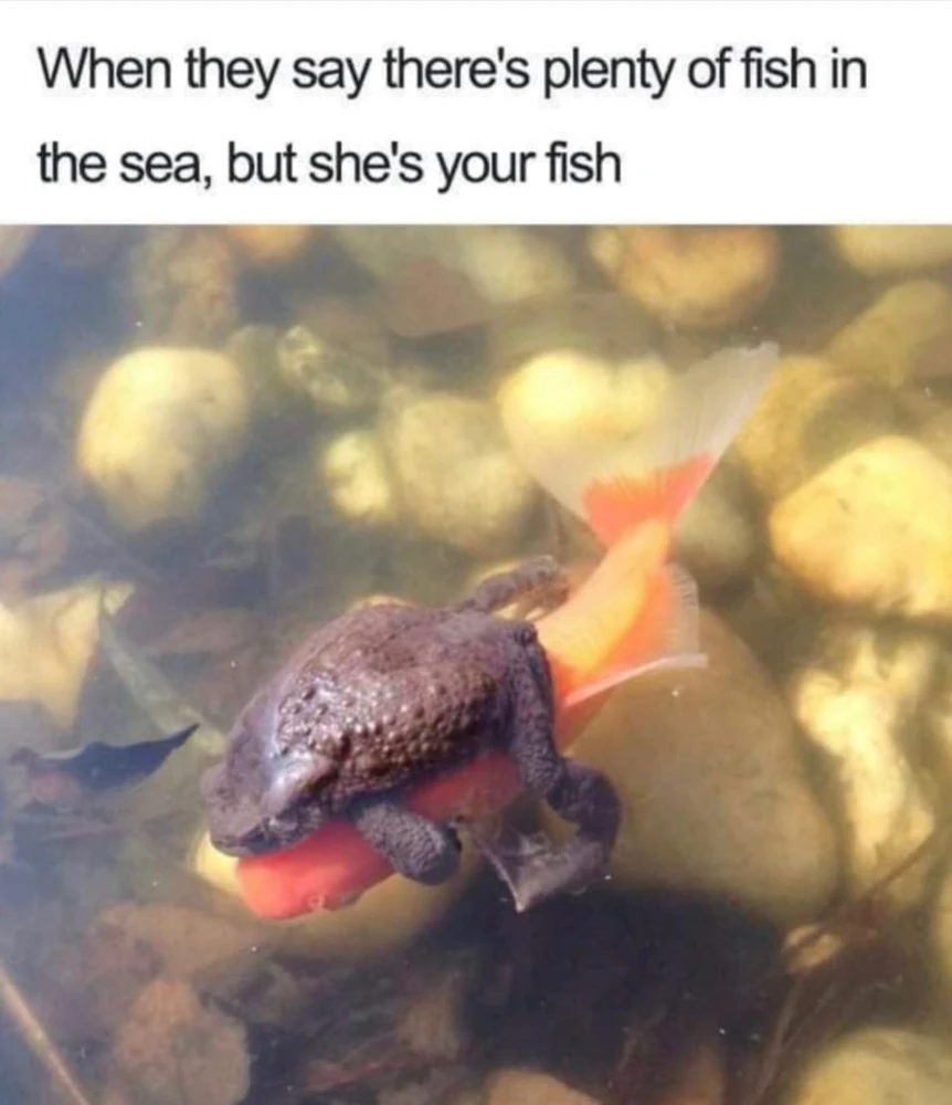 Obrázek nahrál Klara